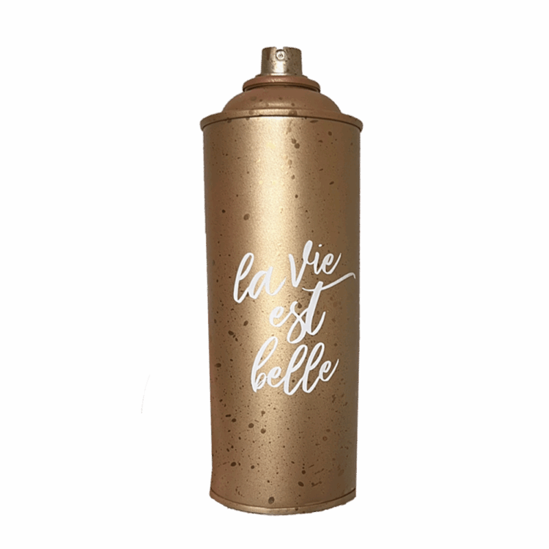 bombe aerosol decorative cadeau noel 2025 25 euros