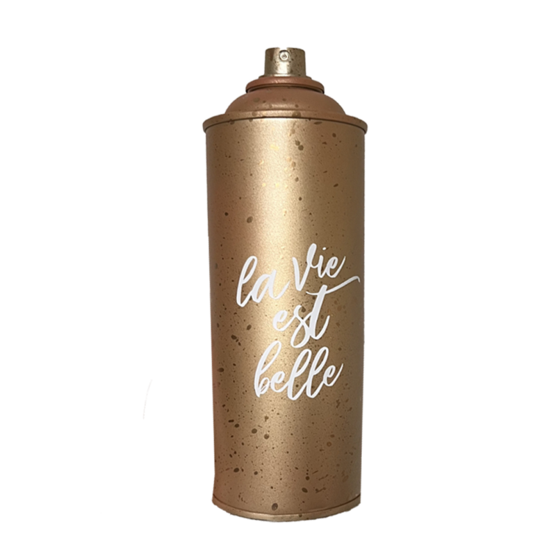 Bombe de peinture "La vie est belle"